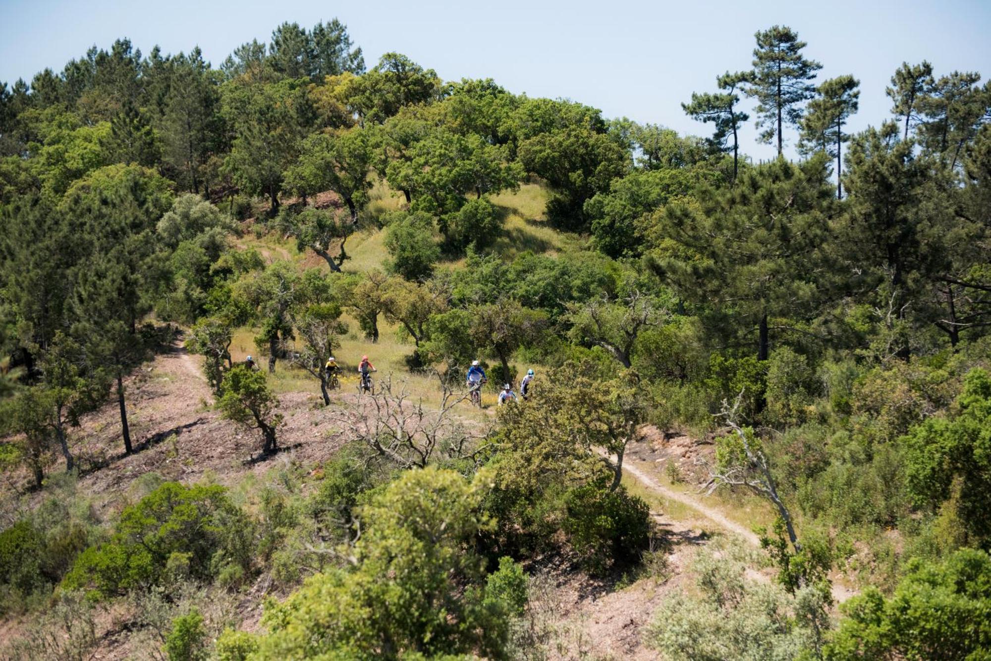Herdade Das Barradas Da Serra Grandola Bagian luar foto