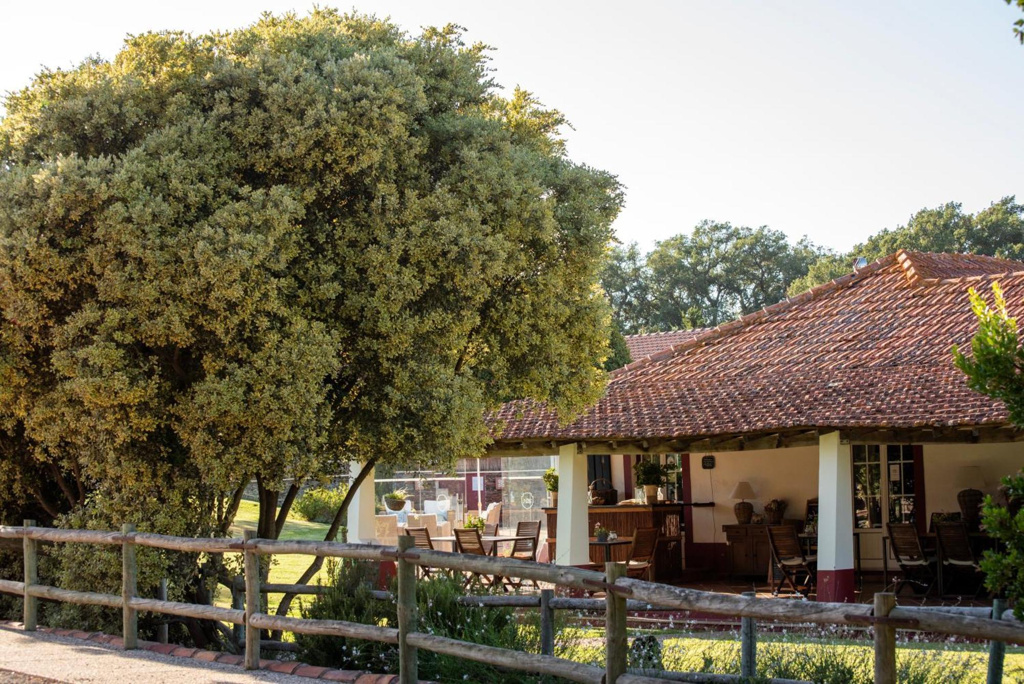 Herdade Das Barradas Da Serra Grandola Bagian luar foto