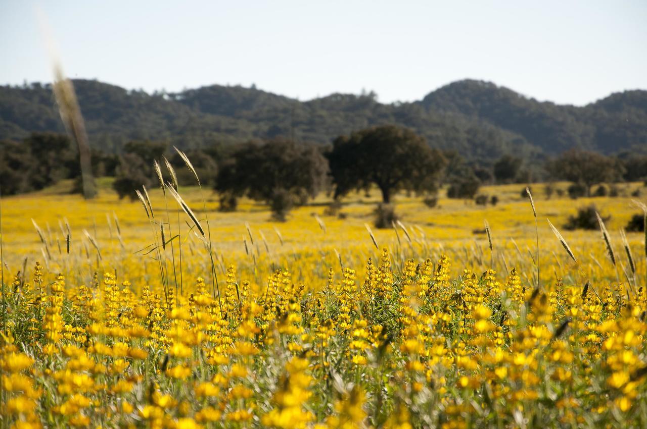 Herdade Das Barradas Da Serra Grandola Bagian luar foto