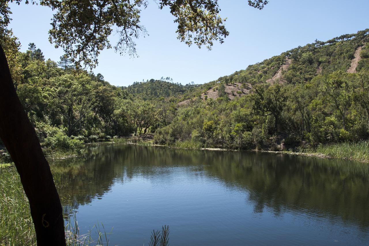 Herdade Das Barradas Da Serra Grandola Bagian luar foto