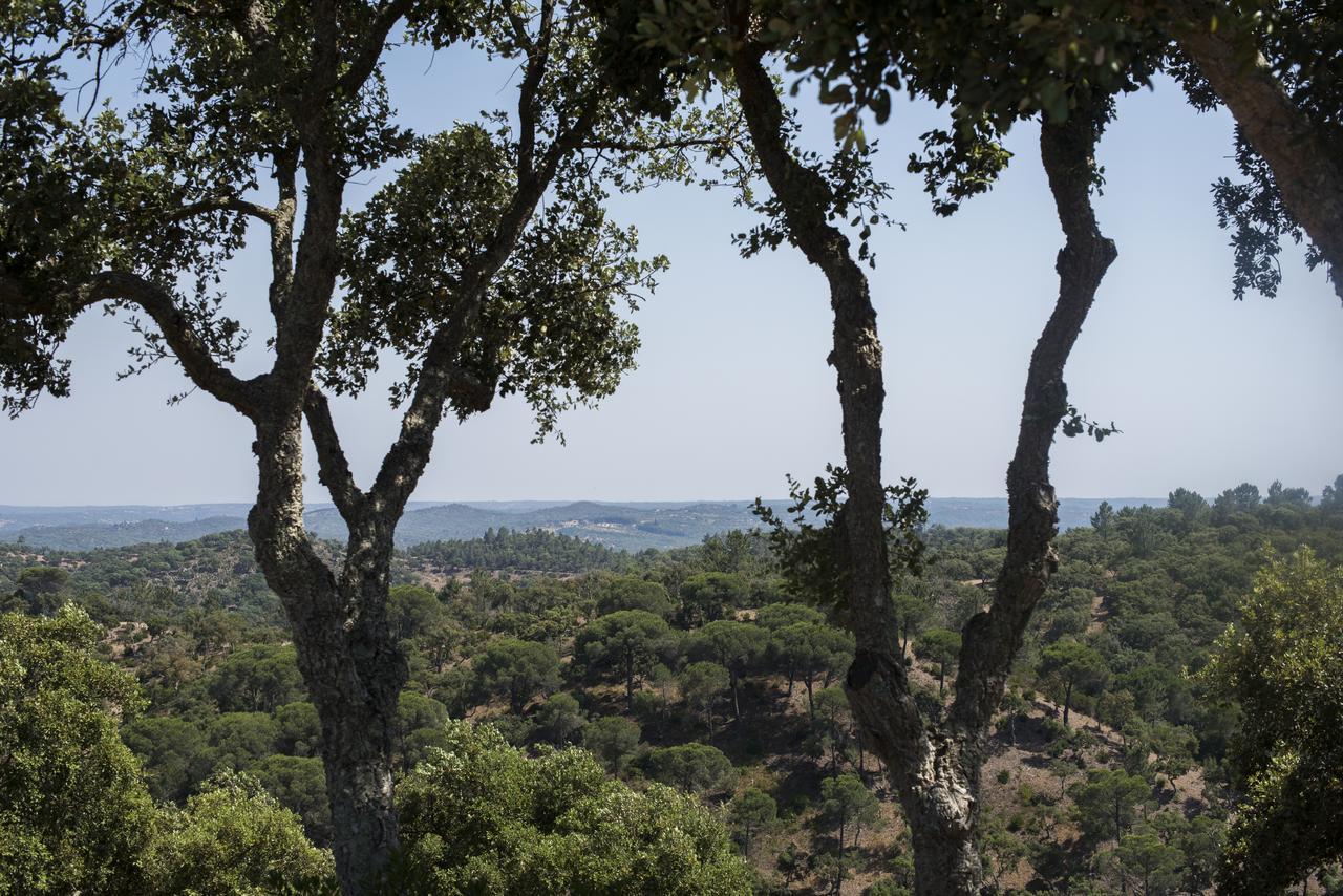 Herdade Das Barradas Da Serra Grandola Bagian luar foto
